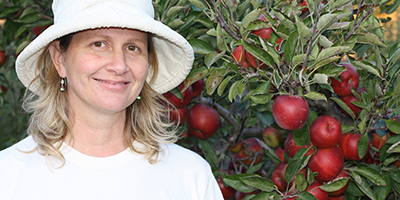 A person wearing a white hat is standing next to an apple tree with red apples.