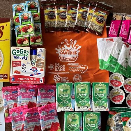 An assortment of cereals, juices, oatmeal, yogurt, and snacks next to a Summer Breakfast bag from a food bank.