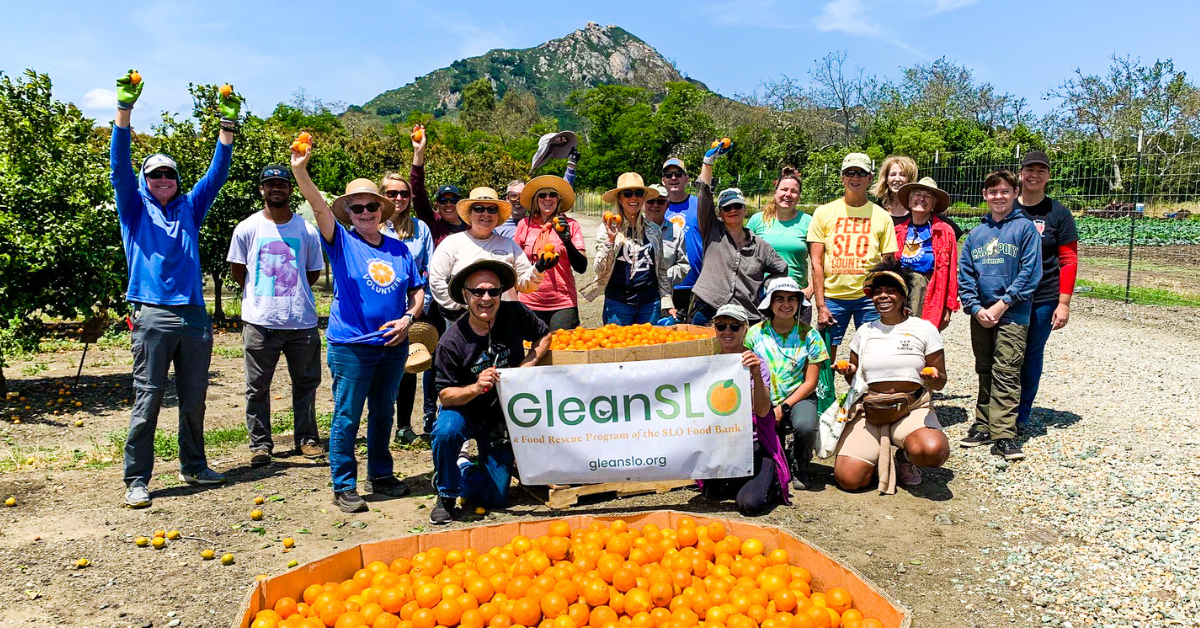 A group of people celebrating a fruit harvest with oranges and a "GleanSLO" banner in a sunny orchard setting.