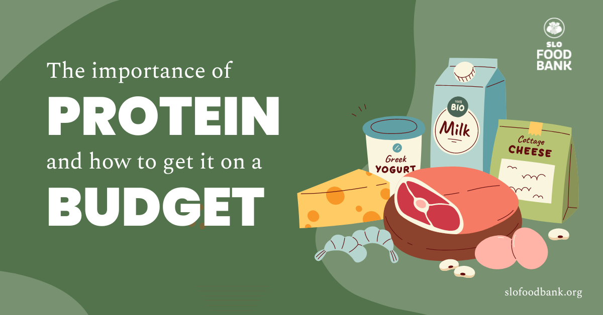 La imagen destaca la importancia de las proteínas y cómo obtenerlas de forma asequible, presentando diversos alimentos ricos en proteínas.